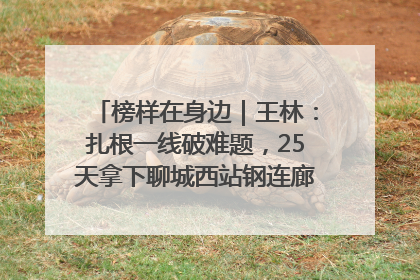 榜样在身边｜王林：扎根一线破难题，25天拿下聊城西站钢连廊“硬核”工程