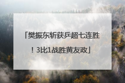 樊振东斩获乒超七连胜！3比1战胜黄友政