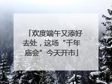 欢度端午又添好去处，这场“千年庙会”今天开市