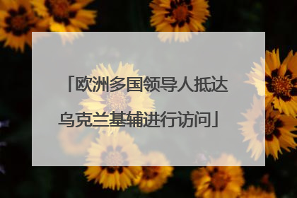 欧洲多国领导人抵达乌克兰基辅进行访问