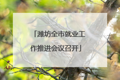 潍坊全市就业工作推进会议召开