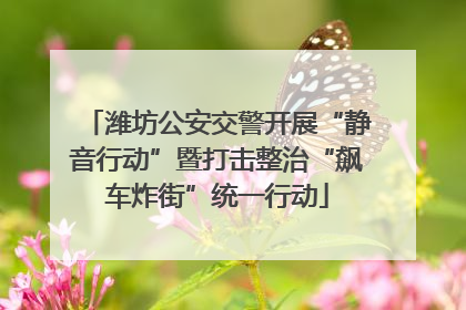 潍坊公安交警开展“静音行动”暨打击整治“飙车炸街”统一行动
