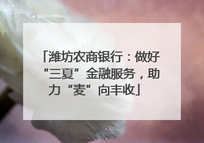 潍坊农商银行：做好“三夏”金融服务，助力“麦”向丰收