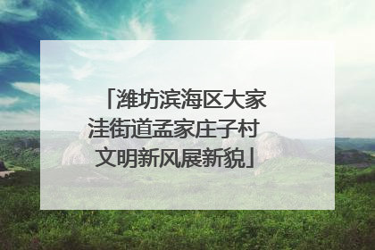 潍坊滨海区大家洼街道孟家庄子村文明新风展新貌