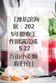 潍坊滨海区：2025年夏收工作圆满完成 5.22万亩小麦颗粒归仓