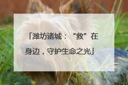 潍坊诸城：“救”在身边，守护生命之光