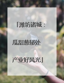 潍坊诸城：瓜甜葱郁处 产业好风光