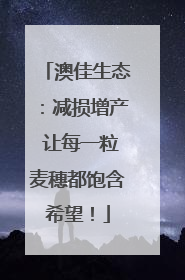 澳佳生态：减损增产 让每一粒麦穗都饱含希望！