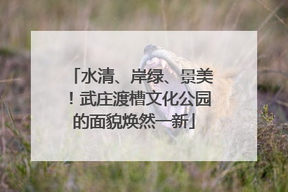 水清、岸绿、景美！武庄渡槽文化公园的面貌焕然一新