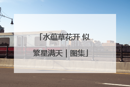 水蕴草花开 似繁星满天｜图集