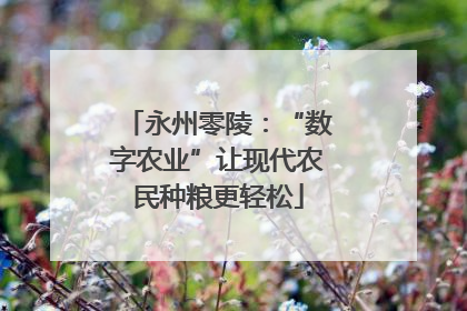 永州零陵：“数字农业”让现代农民种粮更轻松