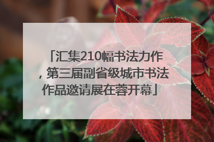 汇集210幅书法力作，第三届副省级城市书法作品邀请展在蓉开幕