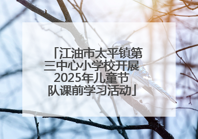 江油市太平镇第三中心小学校开展2025年儿童节队课前学习活动