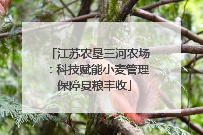 江苏农垦三河农场：科技赋能小麦管理保障夏粮丰收