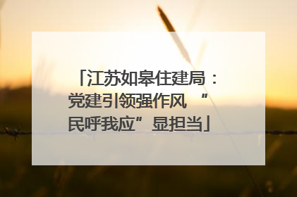 江苏如皋住建局：党建引领强作风 “民呼我应”显担当