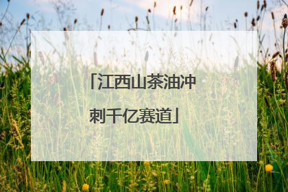 江西山茶油冲刺千亿赛道