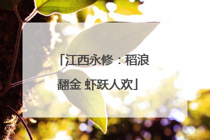 江西永修：稻浪翻金 虾跃人欢