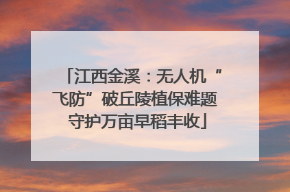 江西金溪：无人机“飞防”破丘陵植保难题 守护万亩早稻丰收