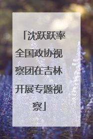 沈跃跃率全国政协视察团在吉林开展专题视察