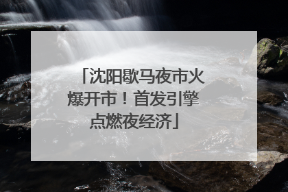 沈阳歇马夜市火爆开市！首发引擎点燃夜经济