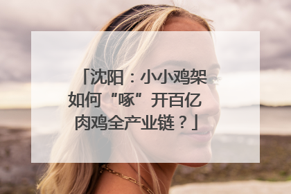 沈阳：小小鸡架如何“啄”开百亿肉鸡全产业链？