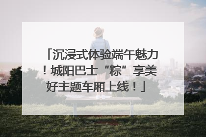 沉浸式体验端午魅力！城阳巴士“粽”享美好主题车厢上线！