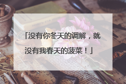 没有你冬天的调解，就没有我春天的菠菜！