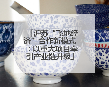 沪苏“飞地经济”合作新模式：以重大项目牵引产业链升级