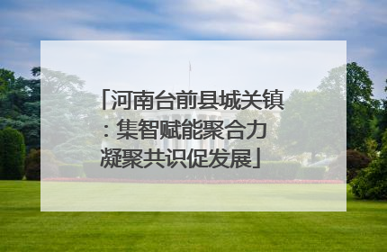 河南台前县城关镇：集智赋能聚合力 凝聚共识促发展