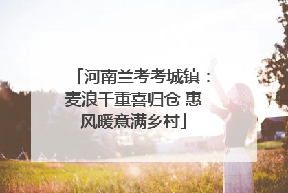 河南兰考考城镇：麦浪千重喜归仓 惠风暖意满乡村