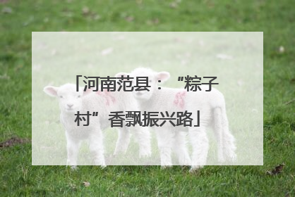 河南范县：“粽子村”香飘振兴路