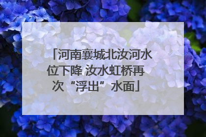 河南襄城北汝河水位下降 汝水虹桥再次“浮出”水面