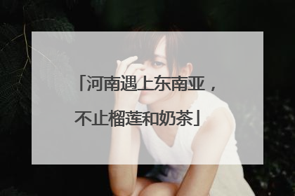 河南遇上东南亚，不止榴莲和奶茶