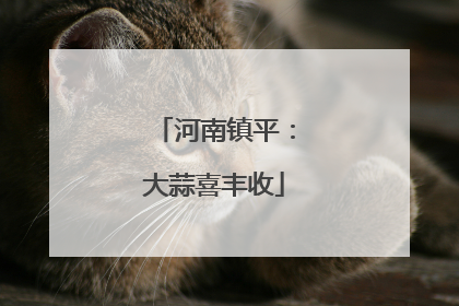 河南镇平：大蒜喜丰收
