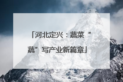 河北定兴：蔬菜“蔬”写产业新篇章