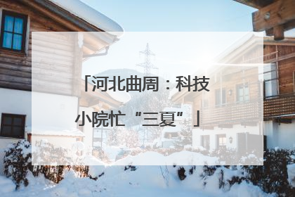 河北曲周：科技小院忙“三夏”