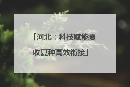 河北：科技赋能夏收夏种高效衔接