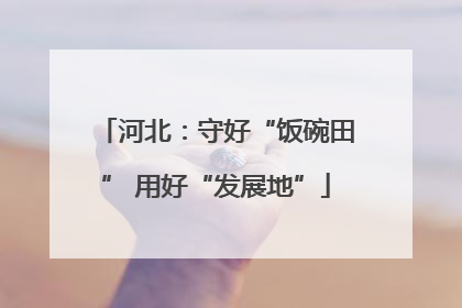 河北：守好“饭碗田” 用好“发展地”