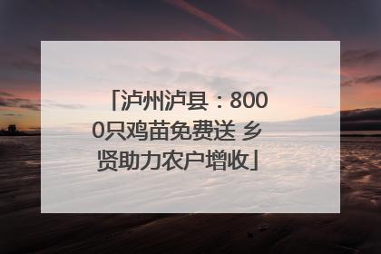 泸州泸县：8000只鸡苗免费送 乡贤助力农户增收