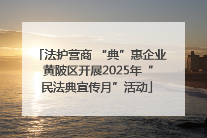 法护营商 “典”惠企业 黄陂区开展2025年“民法典宣传月”活动