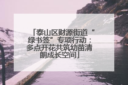 泰山区财源街道“绿书签”专项行动：多点开花共筑幼苗清朗成长空间