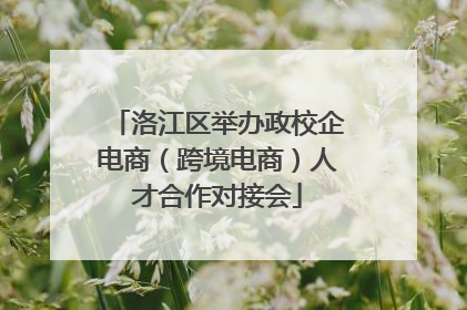 洛江区举办政校企电商（跨境电商）人才合作对接会