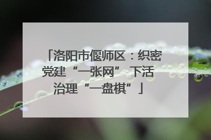 洛阳市偃师区：织密党建“一张网” 下活治理“一盘棋”