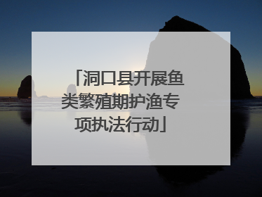 洞口县开展鱼类繁殖期护渔专项执法行动