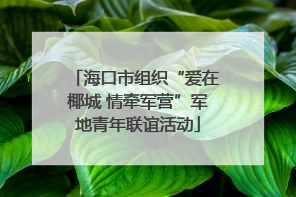 海口市组织“爱在椰城 情牵军营”军地青年联谊活动