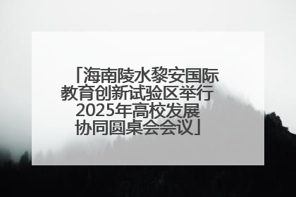 海南陵水黎安国际教育创新试验区举行2025年高校发展协同圆桌会会议