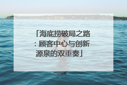 海底捞破局之路：顾客中心与创新源泉的双重奏