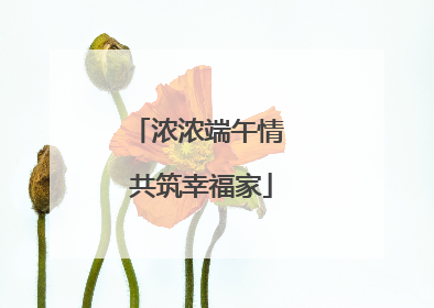 浓浓端午情 共筑幸福家