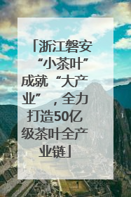 浙江磐安“小茶叶”成就“大产业”，全力打造50亿级茶叶全产业链