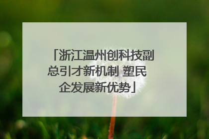 浙江温州创科技副总引才新机制 塑民企发展新优势